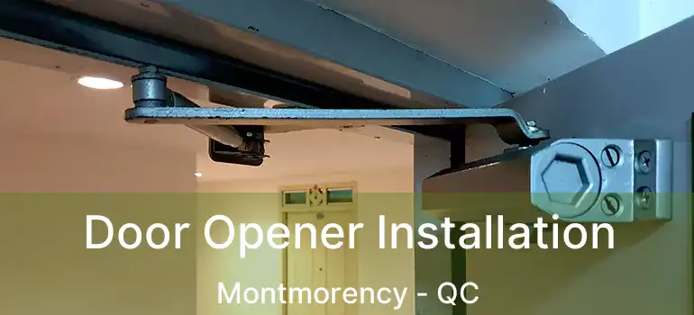  Door Opener Installation Montmorency - QC