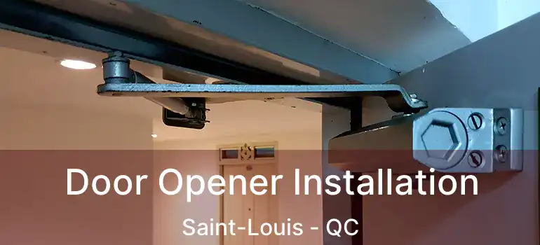 Door Opener Installation Saint-Louis - QC
