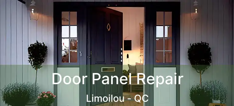  Door Panel Repair Limoilou - QC