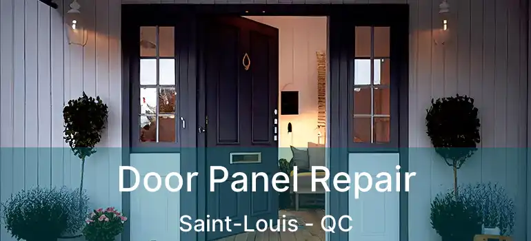  Door Panel Repair Saint-Louis - QC