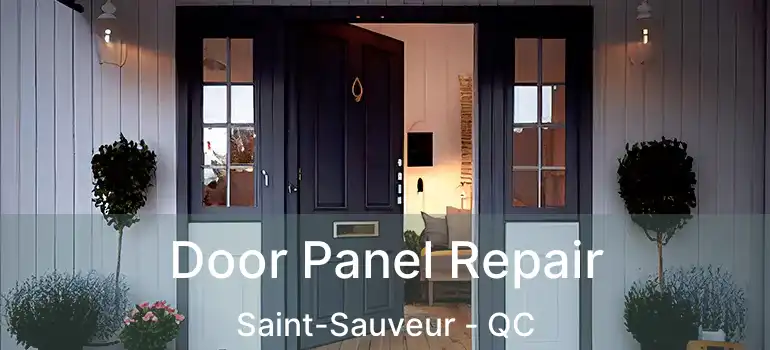  Door Panel Repair Saint-Sauveur - QC