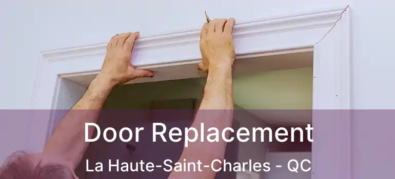  Door Replacement La Haute-Saint-Charles - QC
