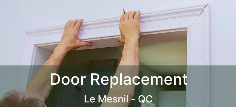  Door Replacement Le Mesnil - QC