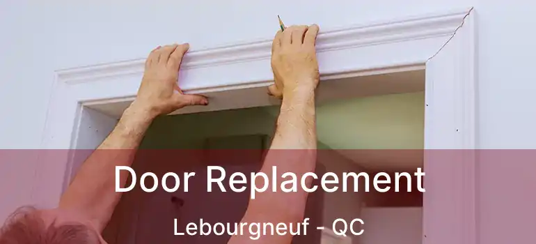  Door Replacement Lebourgneuf - QC