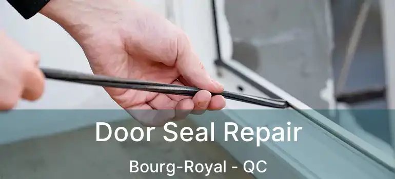  Door Seal Repair Bourg-Royal - QC