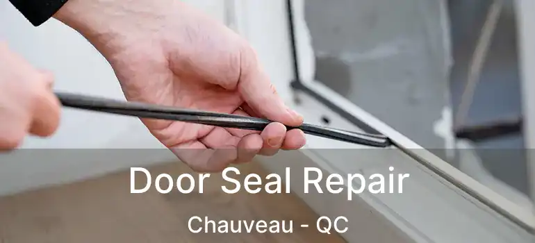  Door Seal Repair Chauveau - QC