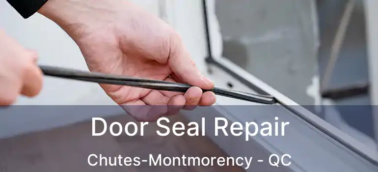 Door Seal Repair Chutes-Montmorency - QC