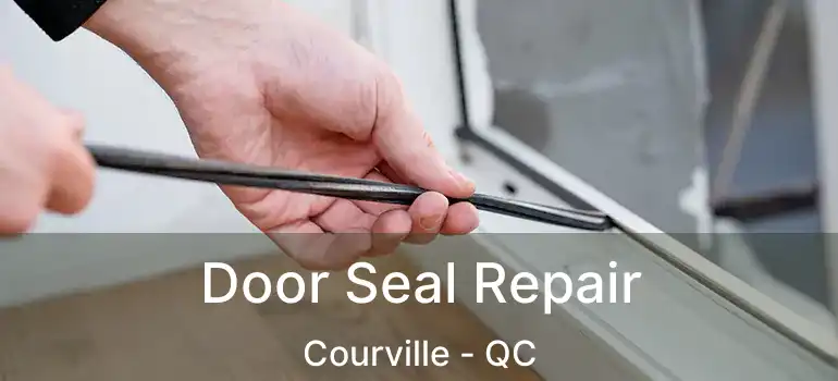  Door Seal Repair Courville - QC