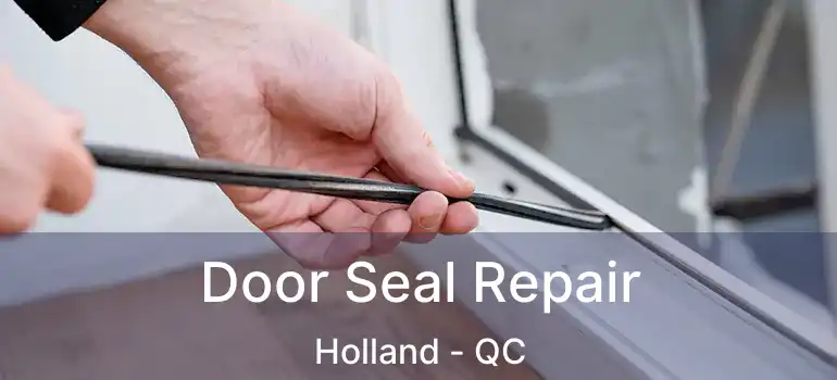  Door Seal Repair Holland - QC