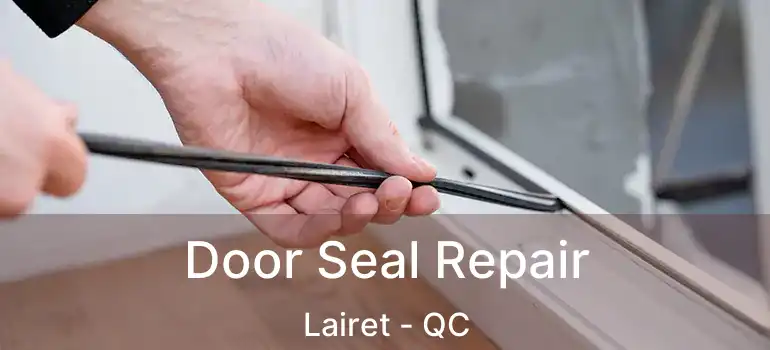  Door Seal Repair Lairet - QC
