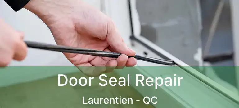  Door Seal Repair Laurentien - QC