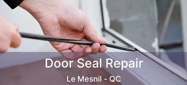  Door Seal Repair Le Mesnil - QC