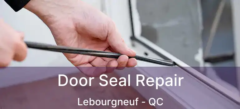  Door Seal Repair Lebourgneuf - QC
