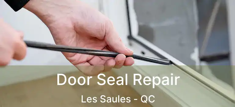  Door Seal Repair Les Saules - QC