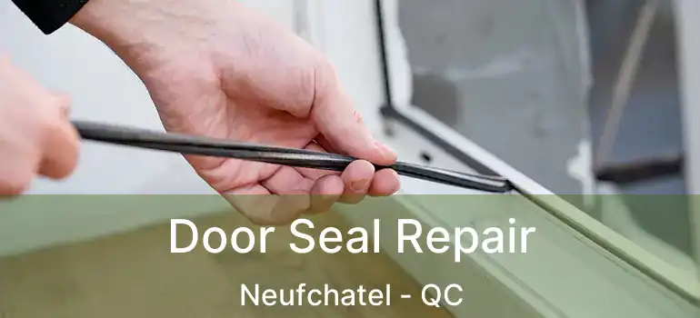  Door Seal Repair Neufchatel - QC