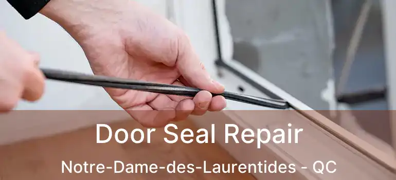 Door Seal Repair Notre-Dame-des-Laurentides - QC