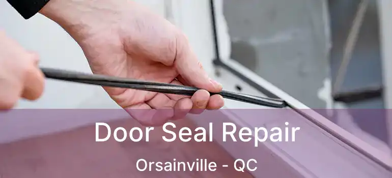  Door Seal Repair Orsainville - QC