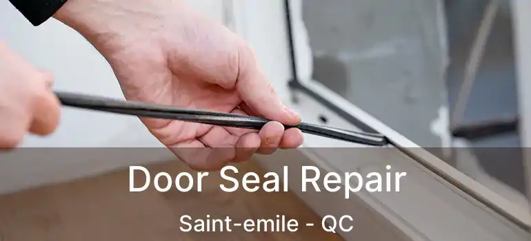  Door Seal Repair Saint-emile - QC