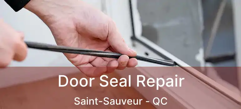  Door Seal Repair Saint-Sauveur - QC