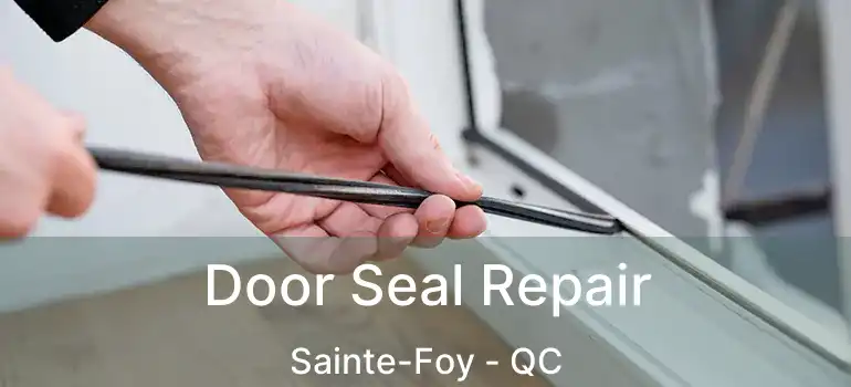  Door Seal Repair Sainte-Foy - QC