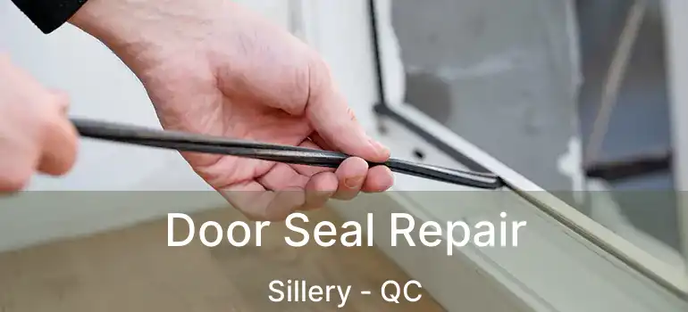  Door Seal Repair Sillery - QC