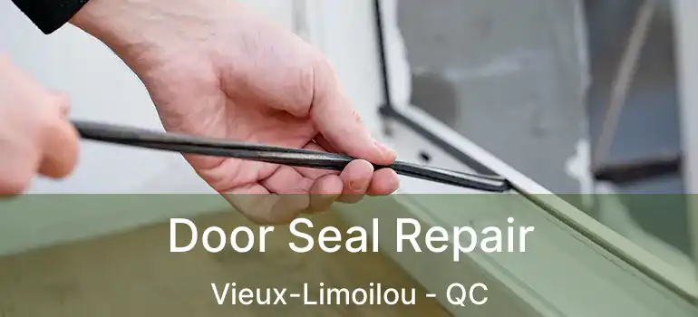  Door Seal Repair Vieux-Limoilou - QC