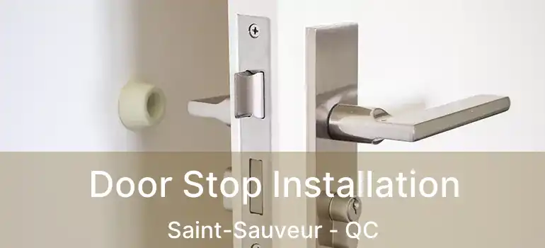  Door Stop Installation Saint-Sauveur - QC