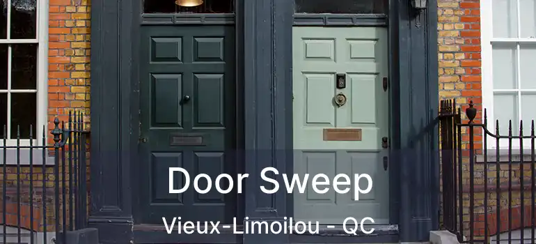  Door Sweep Vieux-Limoilou - QC