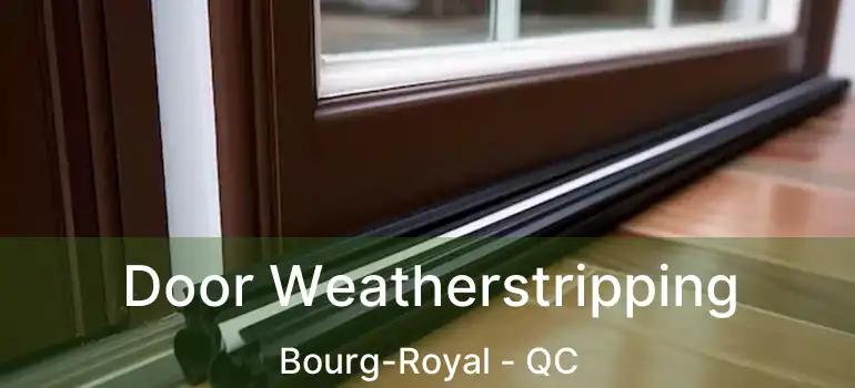 Door Weatherstripping Bourg-Royal - QC