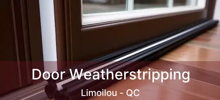  Door Weatherstripping Limoilou - QC