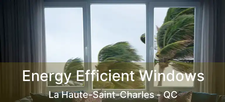  Energy Efficient Windows La Haute-Saint-Charles - QC