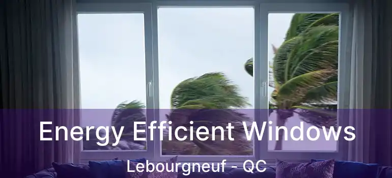  Energy Efficient Windows Lebourgneuf - QC