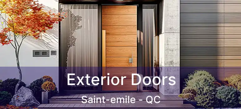  Exterior Doors Saint-emile - QC