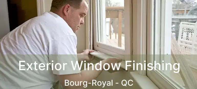  Exterior Window Finishing Bourg-Royal - QC