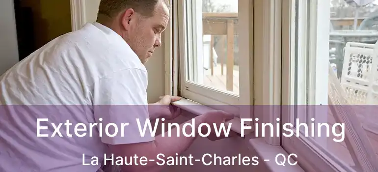  Exterior Window Finishing La Haute-Saint-Charles - QC