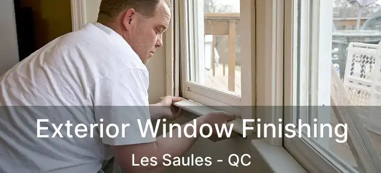  Exterior Window Finishing Les Saules - QC