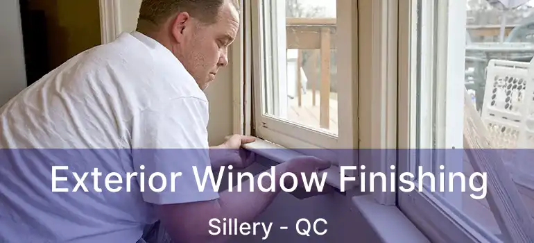  Exterior Window Finishing Sillery - QC