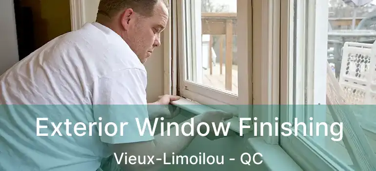 Exterior Window Finishing Vieux-Limoilou - QC