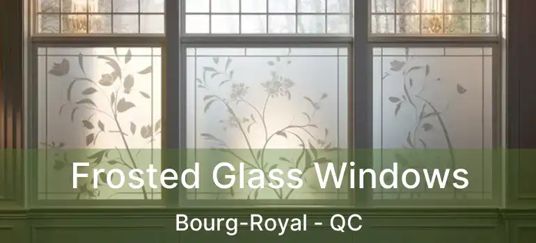  Frosted Glass Windows Bourg-Royal - QC