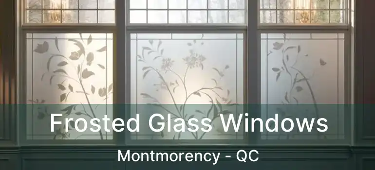  Frosted Glass Windows Montmorency - QC
