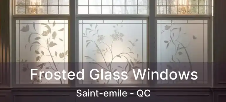  Frosted Glass Windows Saint-emile - QC