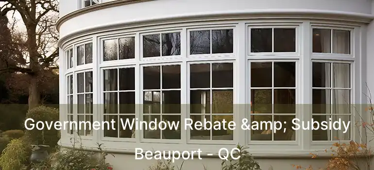  Government Window Rebate & Subsidy Beauport - QC