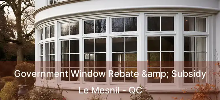  Government Window Rebate & Subsidy Le Mesnil - QC
