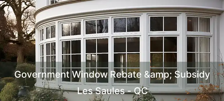  Government Window Rebate & Subsidy Les Saules - QC