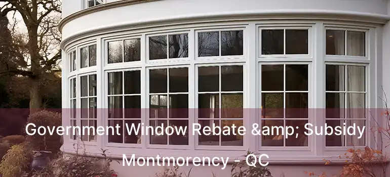  Government Window Rebate & Subsidy Montmorency - QC