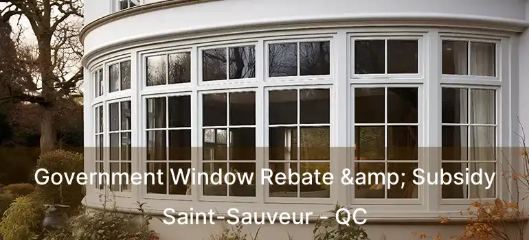  Government Window Rebate & Subsidy Saint-Sauveur - QC