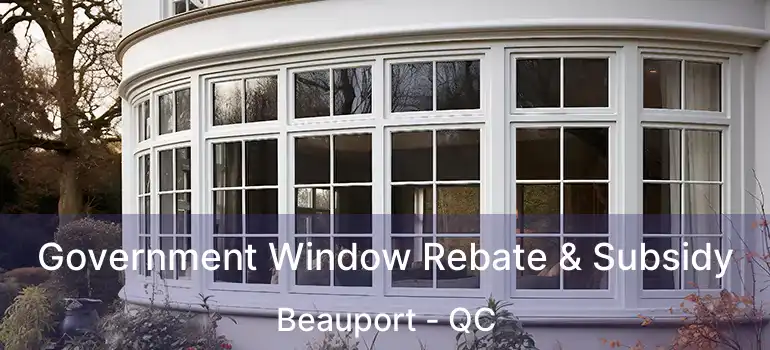  Government Window Rebate & Subsidy Beauport - QC