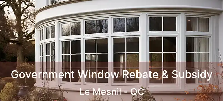  Government Window Rebate & Subsidy Le Mesnil - QC