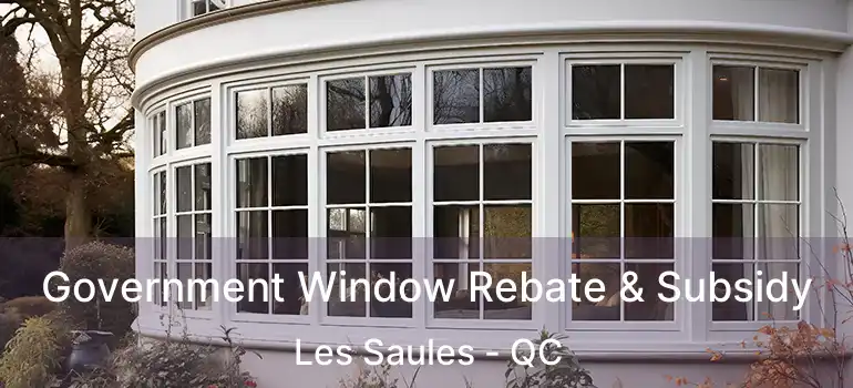  Government Window Rebate & Subsidy Les Saules - QC