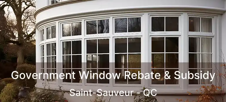  Government Window Rebate & Subsidy Saint-Sauveur - QC